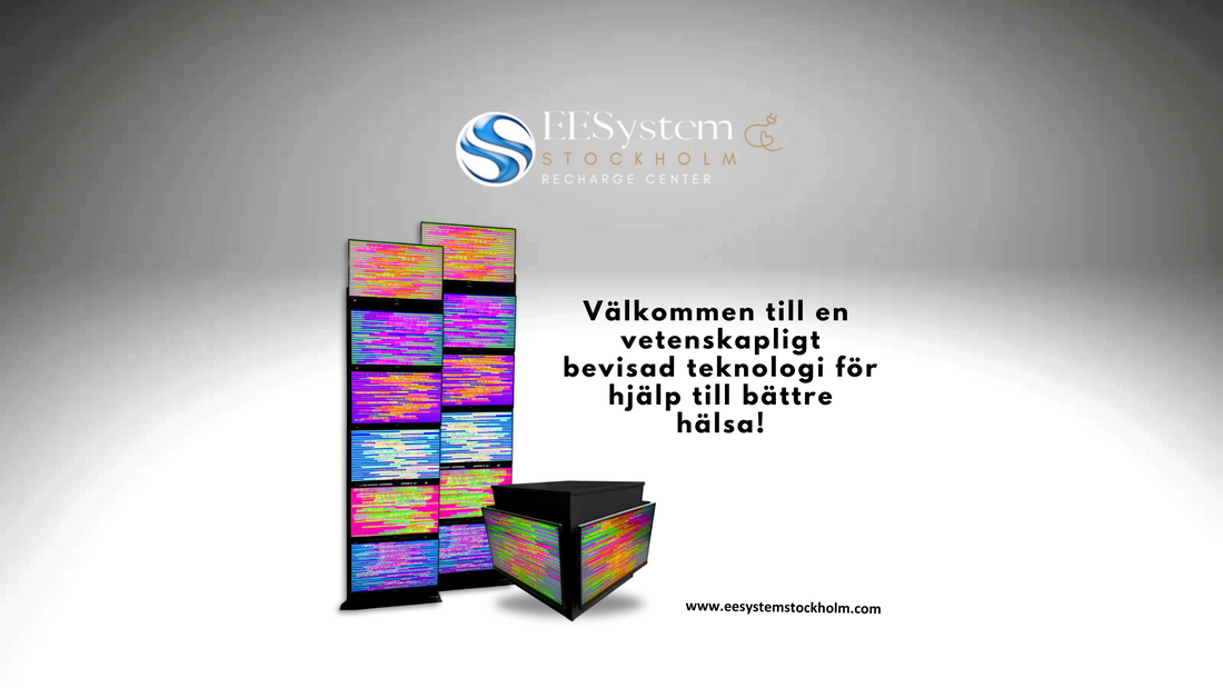 StrEESs Less Program hos EESystem Stockholm